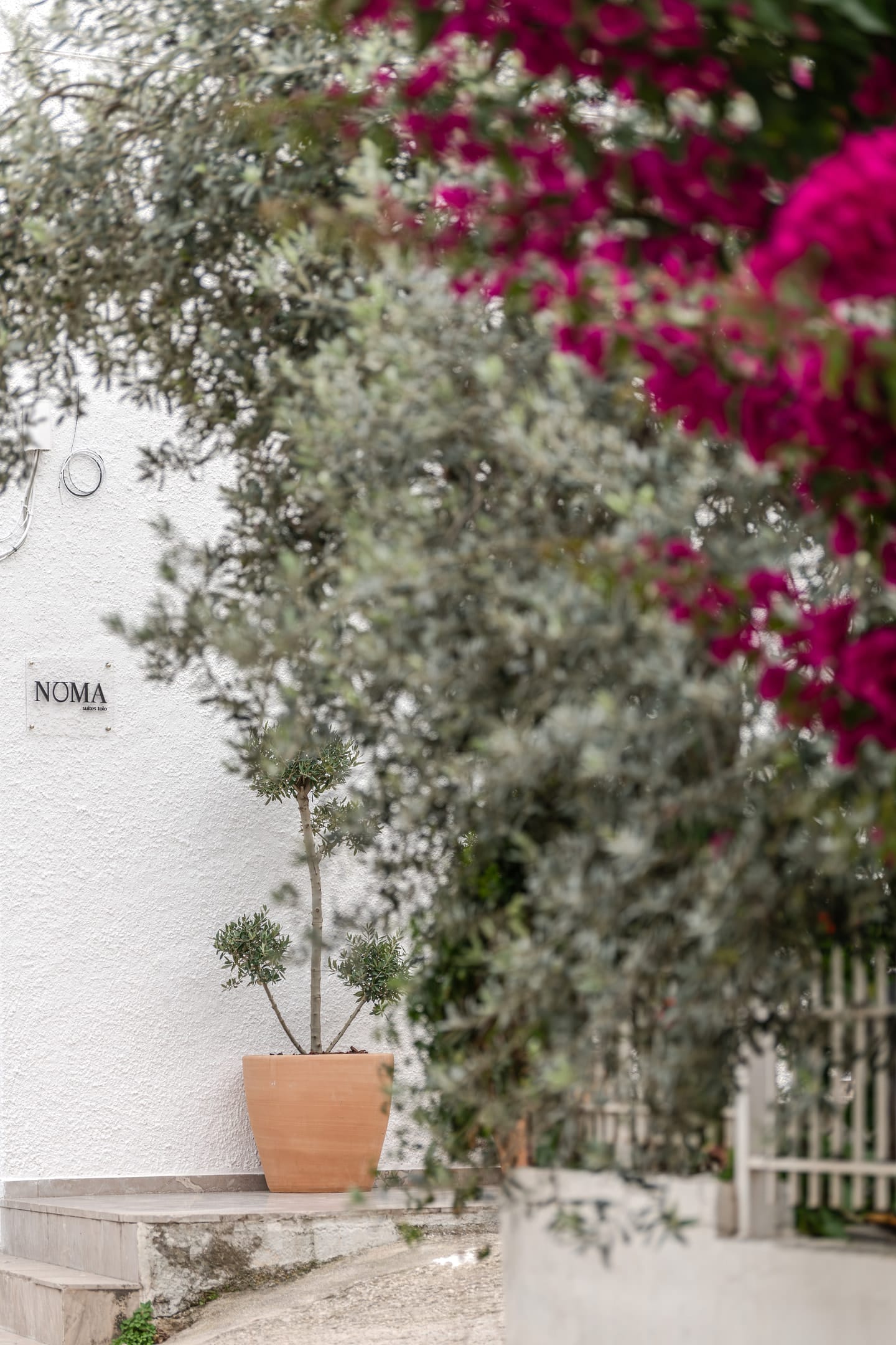 Noma Suites Tolo