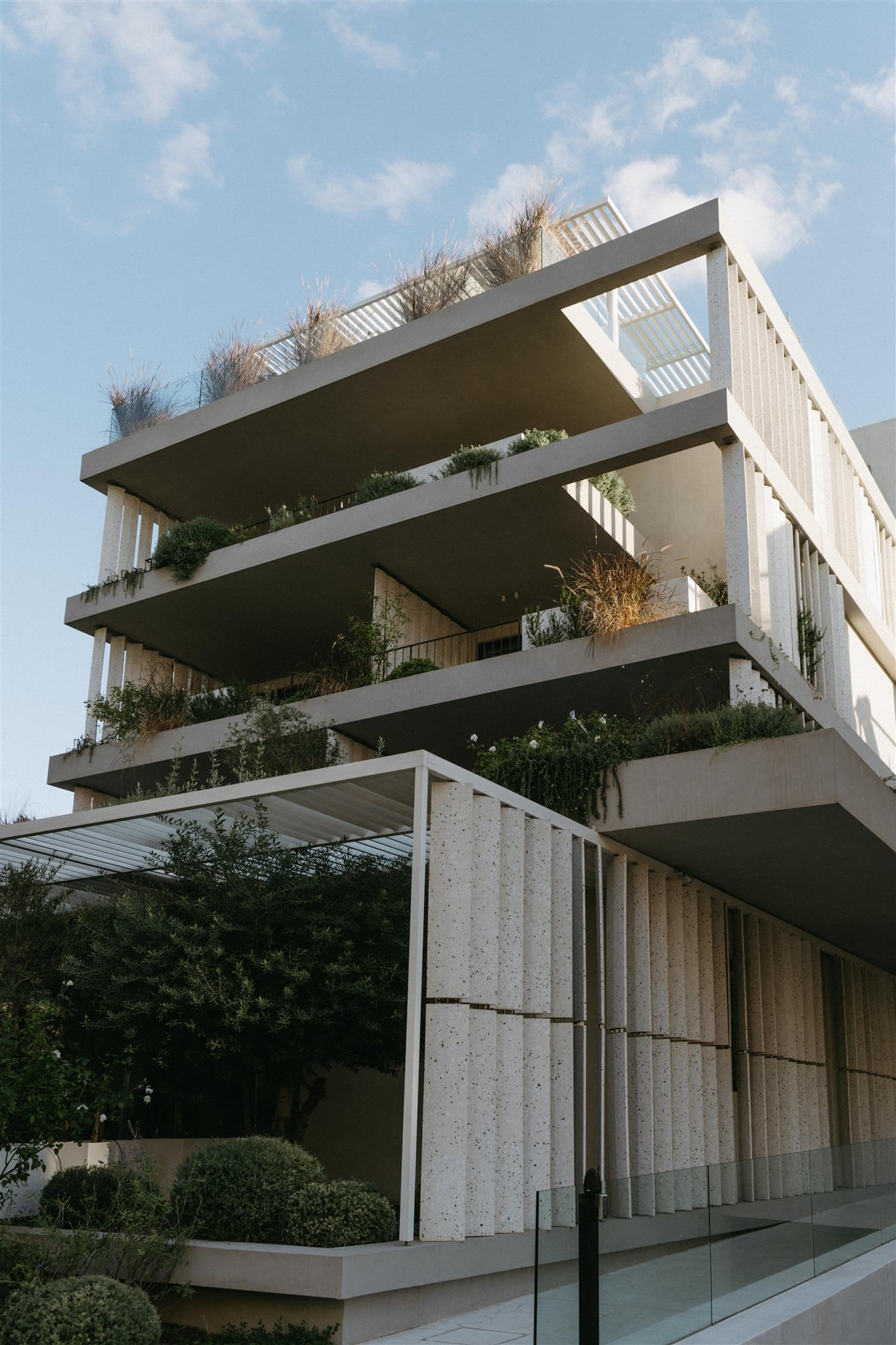 Ogarden Athens