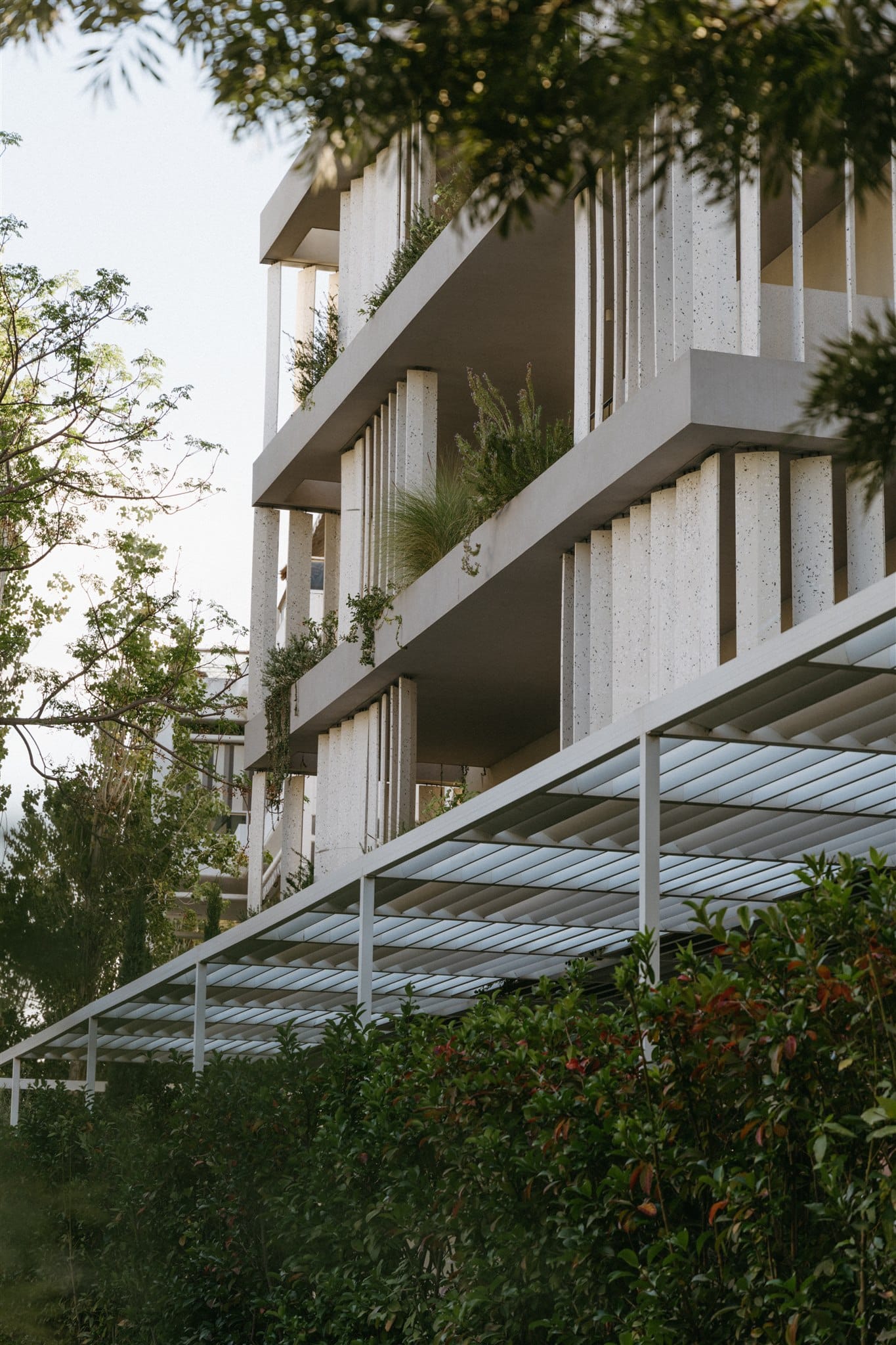 Ogarden Athens
