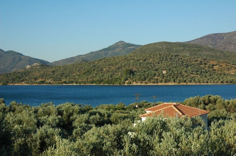 Gera's Olive Grove (Elaionas Tis Geras)