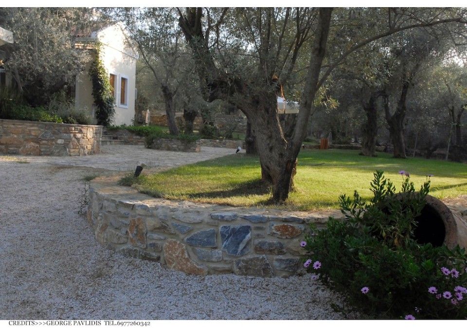 Gera's Olive Grove (Elaionas Tis Geras)