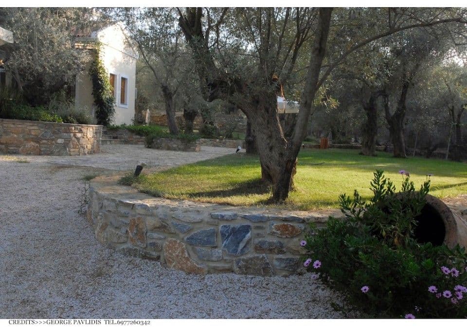Gera's Olive Grove (Elaionas Tis Geras)