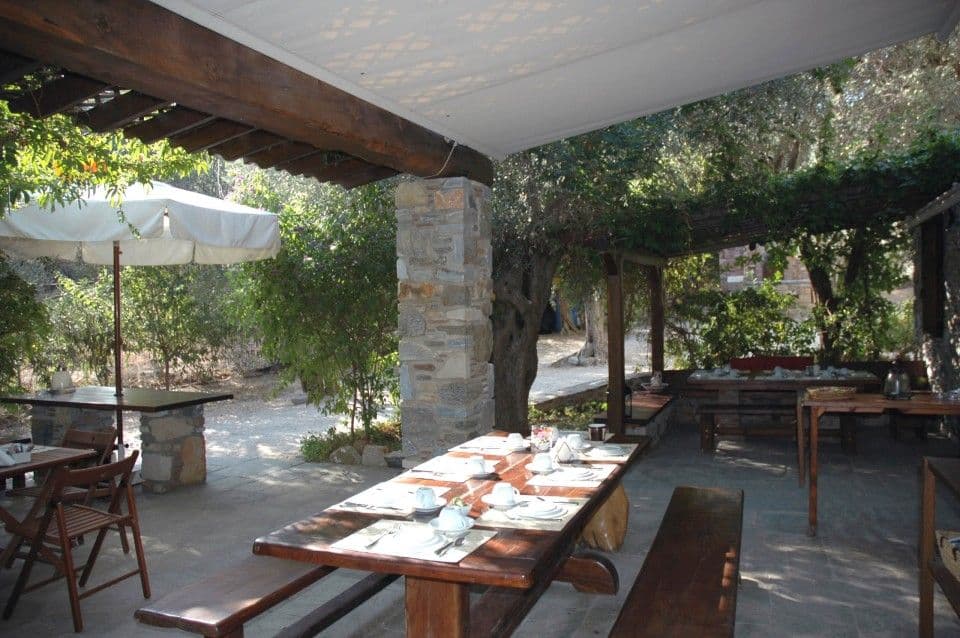 Gera's Olive Grove (Elaionas Tis Geras)