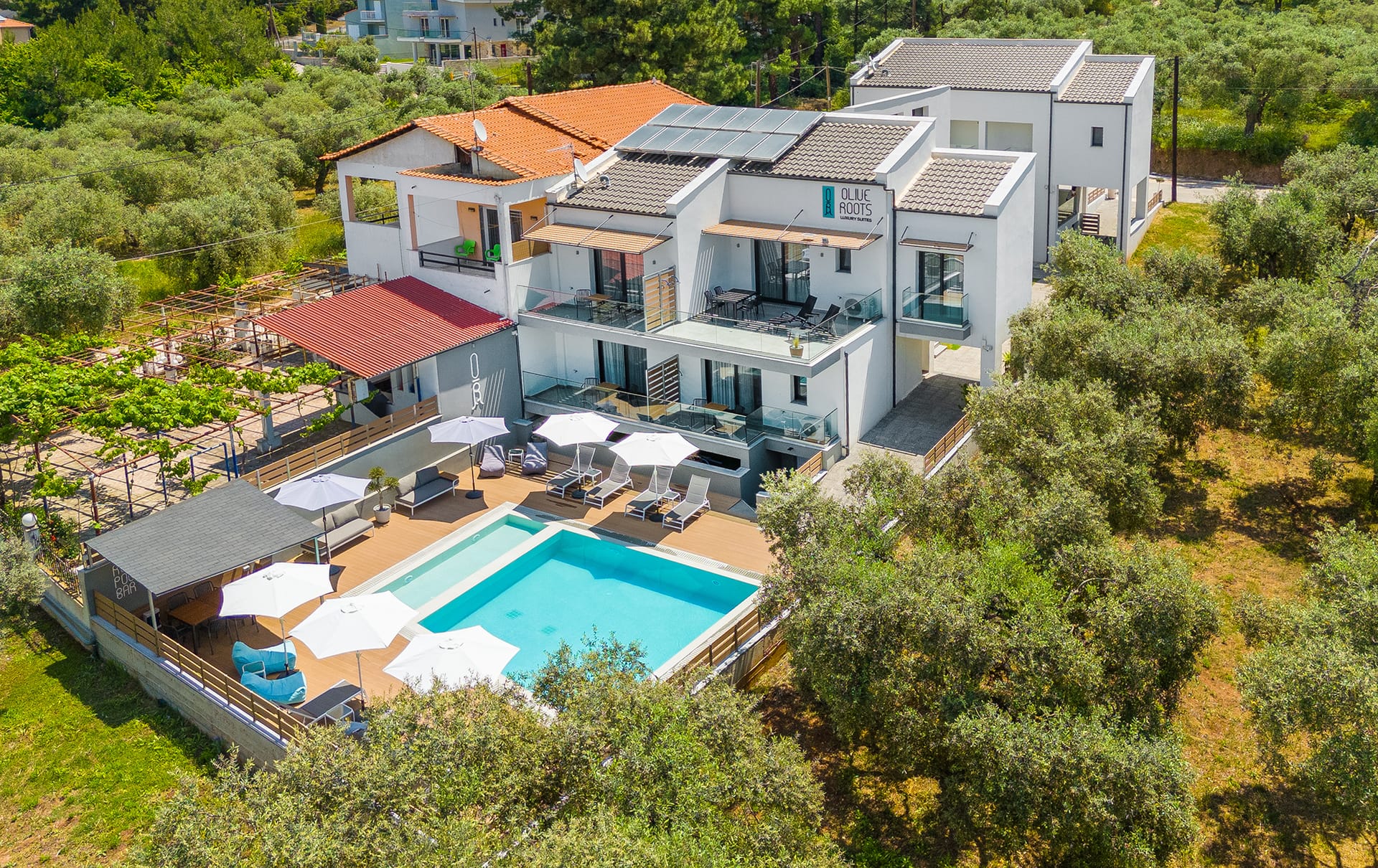 Olive Roots Thassos