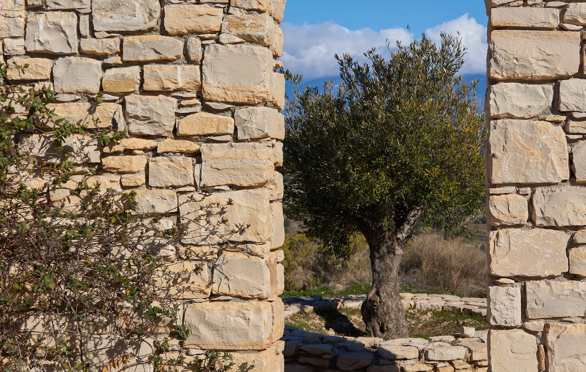 Orelia Cretan Villas