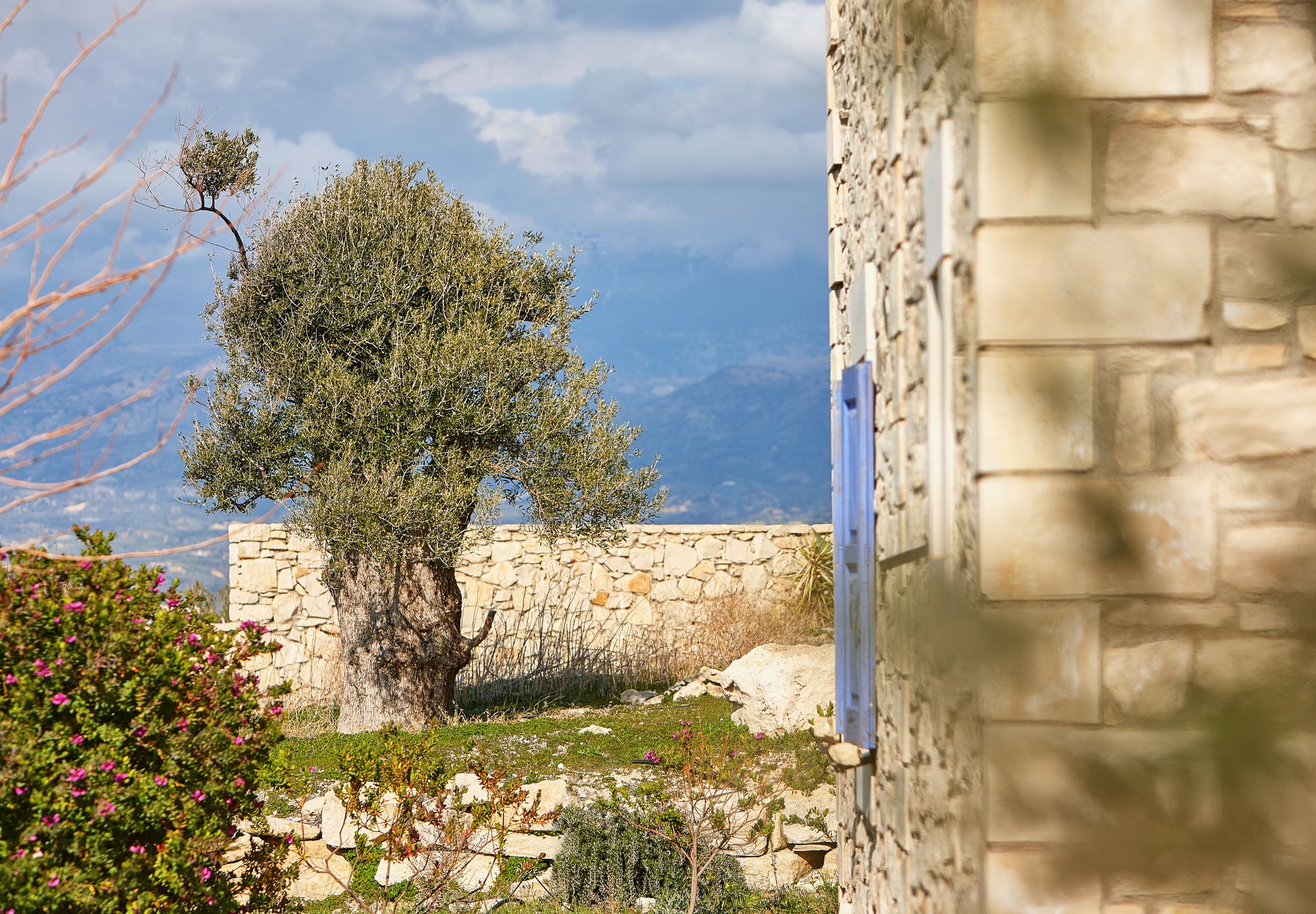 Orelia Cretan Villas