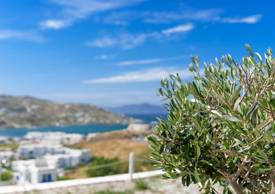 Ornos Blue Mykonos