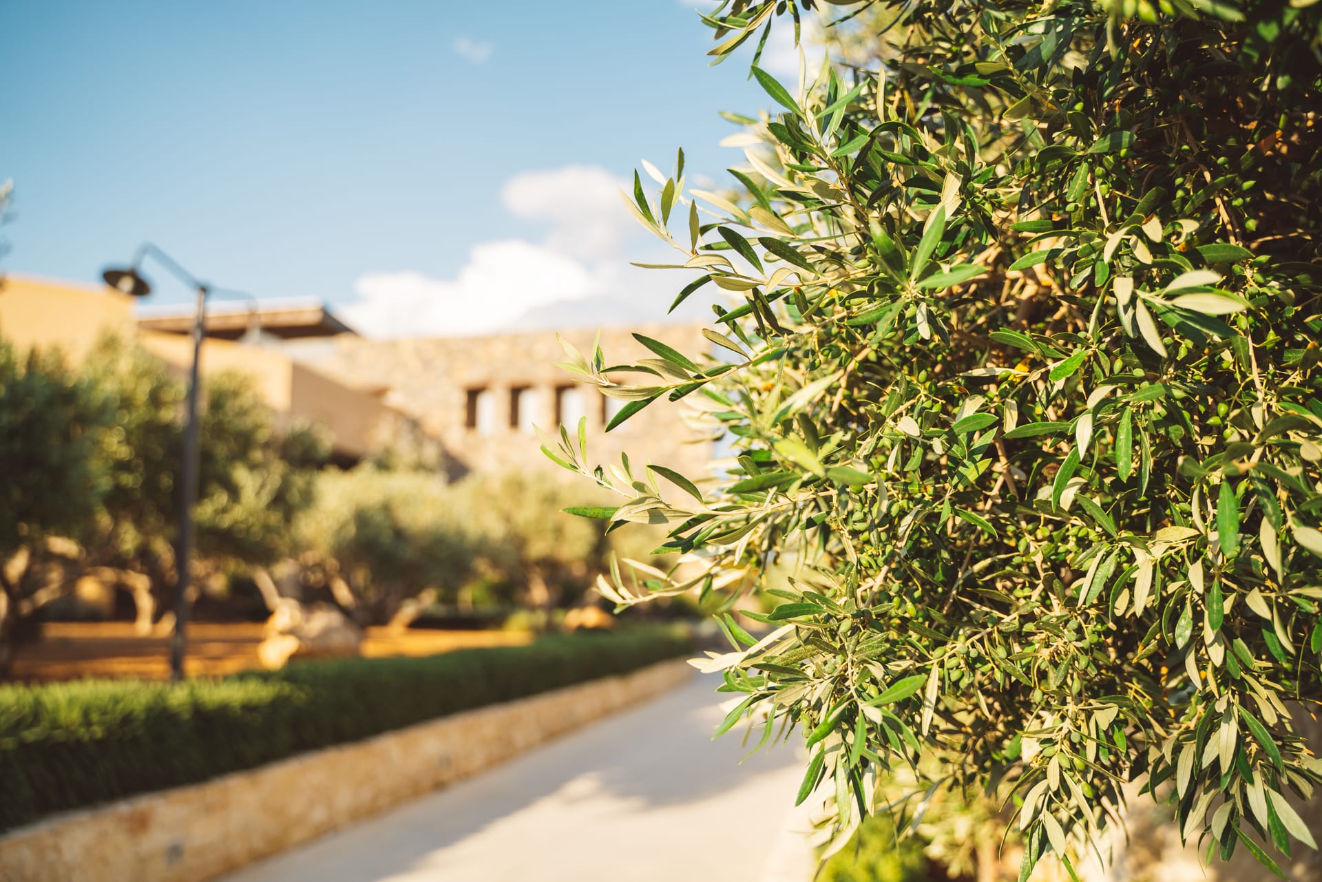 Ostria Resort & Spa