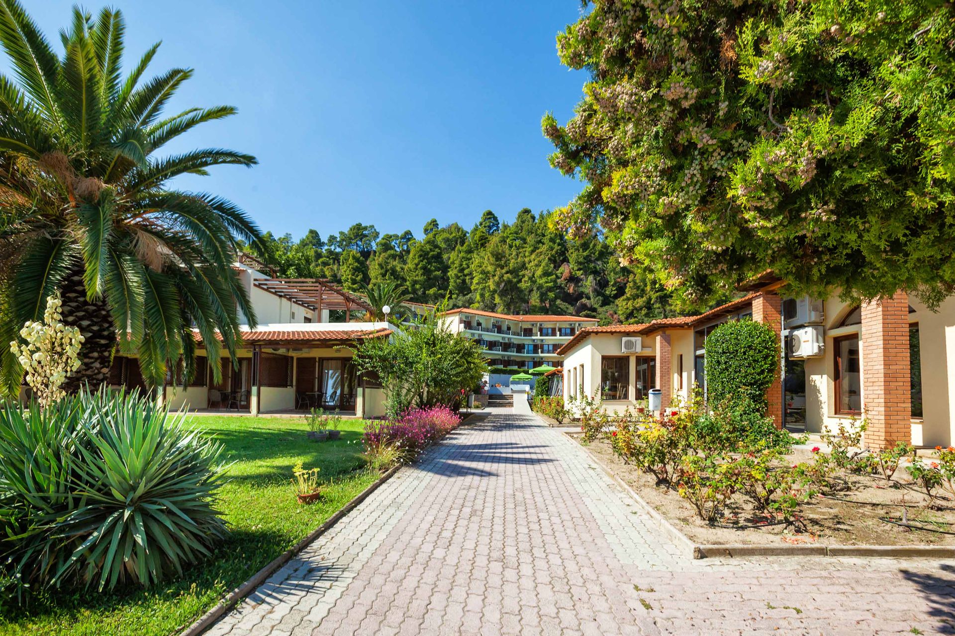 Palladium Hotel Halkidiki