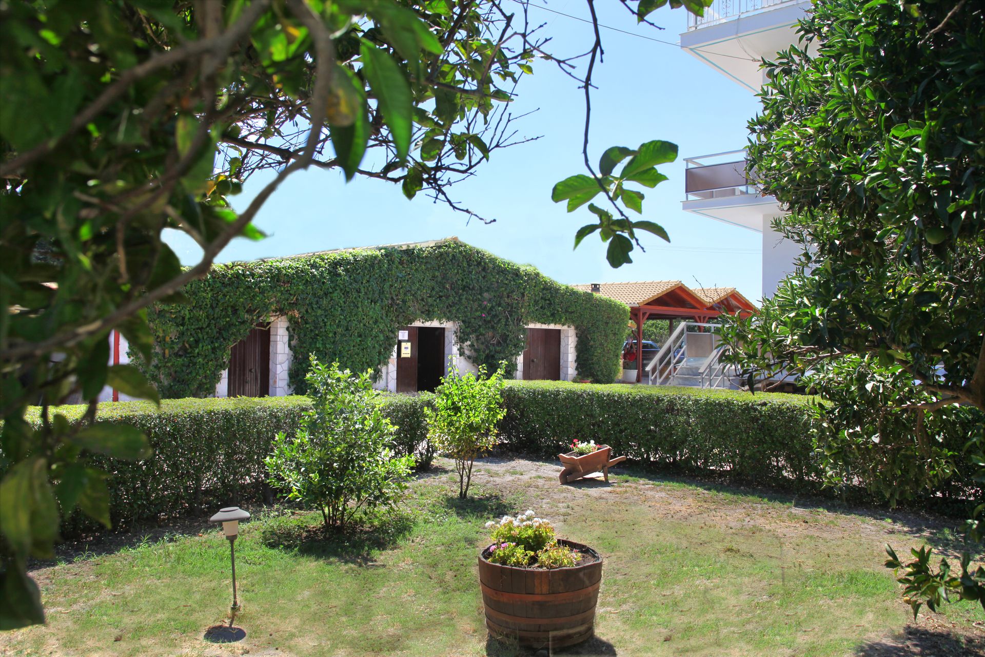 Pettas Apartments Zakynthos