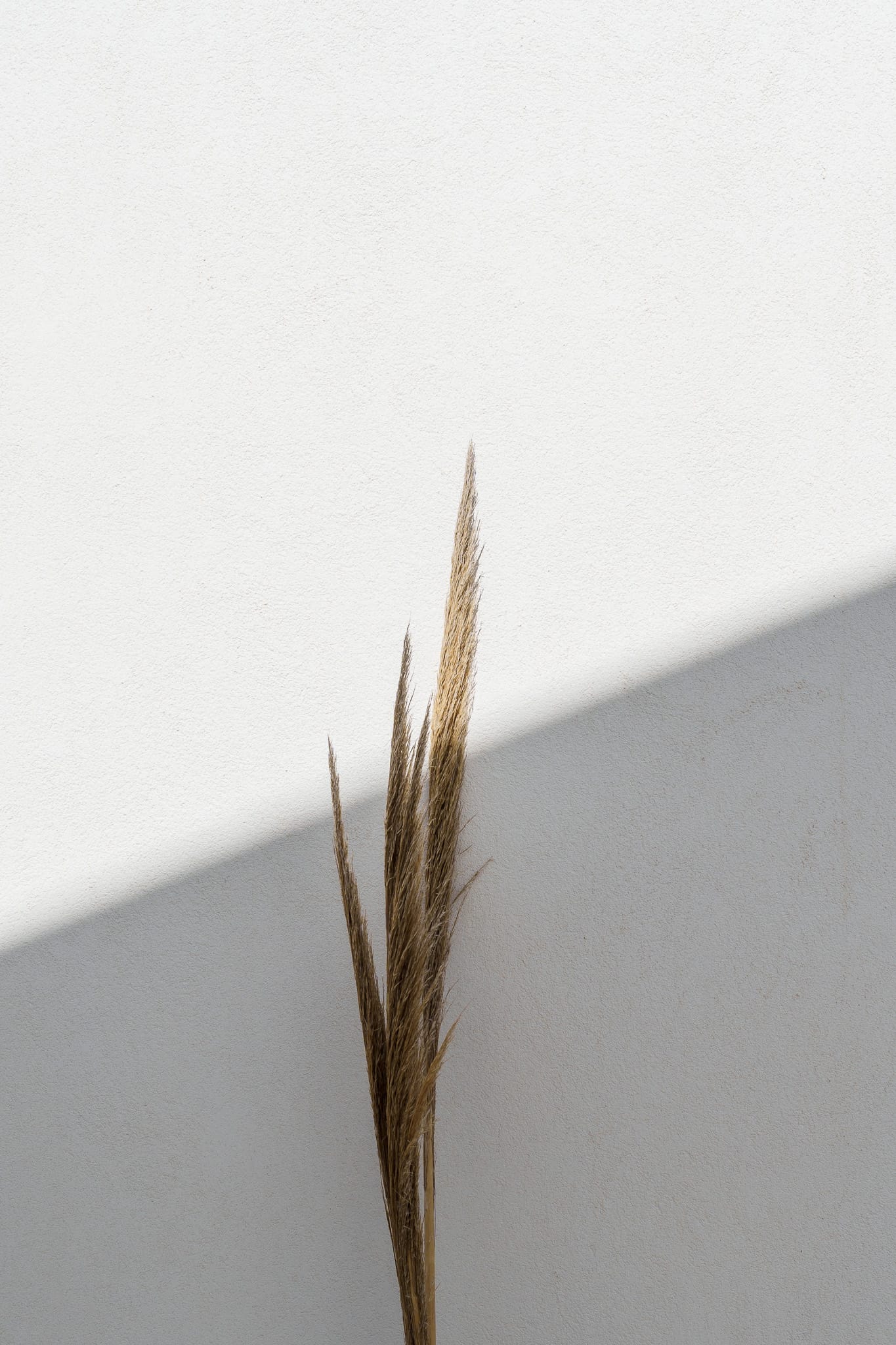 Poema Antiparos