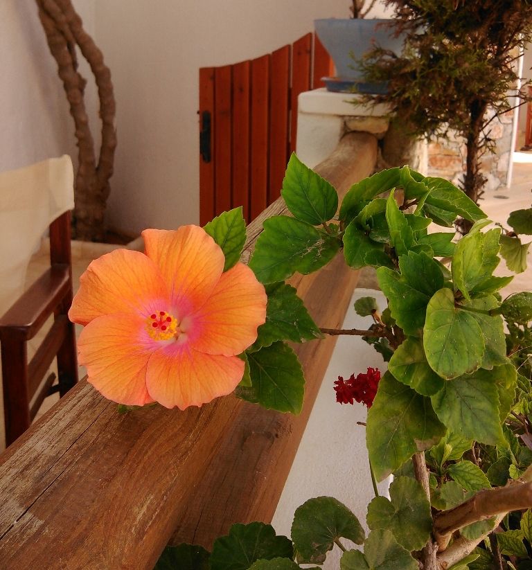 Polikandia Hotel Folegandros