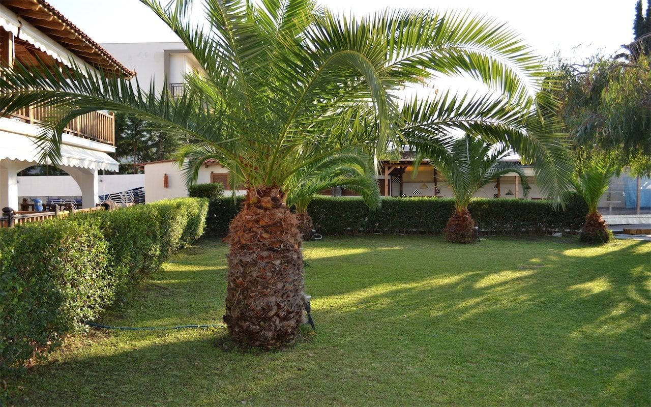 Aria Seaside Retreat Hotel Halkidiki