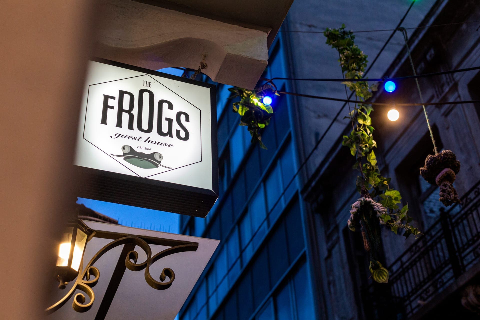 The Frogs Guesthouse